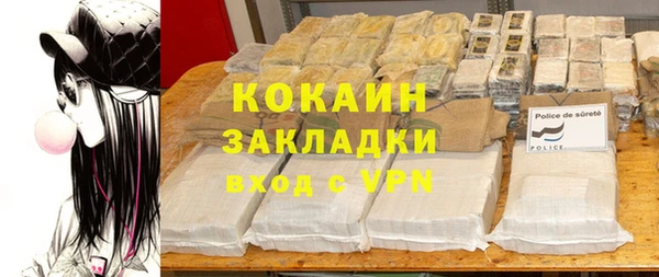 сатива Сатка