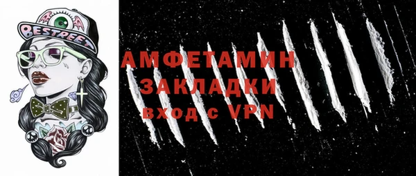 мет Алексин