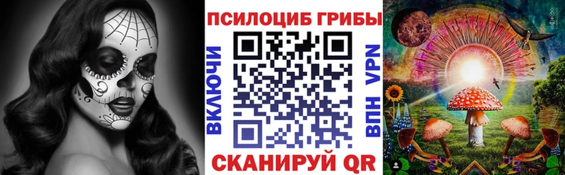 где купить наркоту Бобров Псилоцибиновые грибы Psilocybe